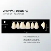 Crown & Efucera PX NW0.5 - O41