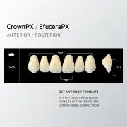 Crown & Efucera PX D2 - O61S