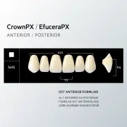 Crown & Efucera PX B2 - S41S