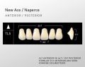 New Ace & Naperce - TL5 Formu - (1 Kutu = 4 Takım) A2