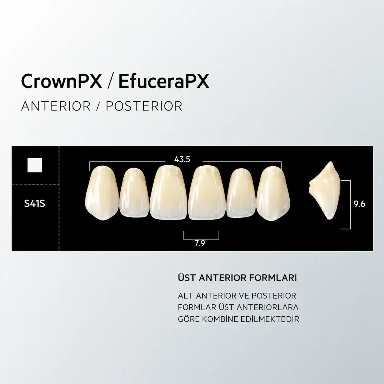 Crown & Efucera PX NW0.5 - S41S