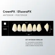 Crown & Efucera PX D4 - S42S