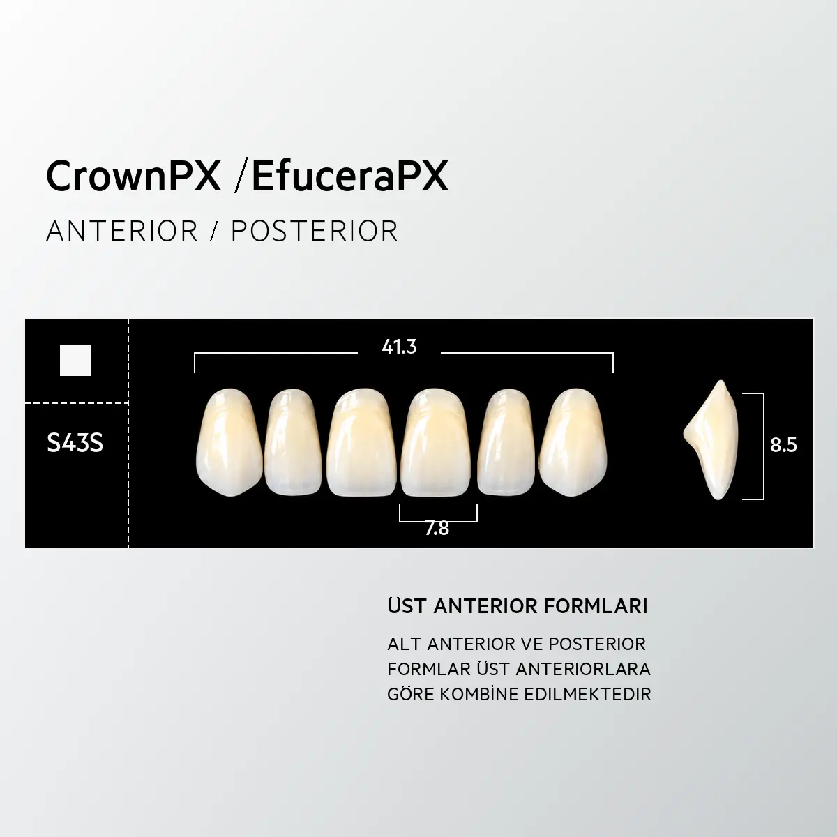 Crown & Efucera PX A1 - S43S