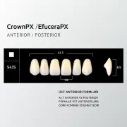Crown & Efucera PX NW0.5 - S43S