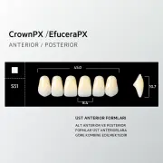 Crown & Efucera PX B3 - S51