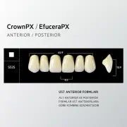 Crown & Efucera PX A1 - S52S