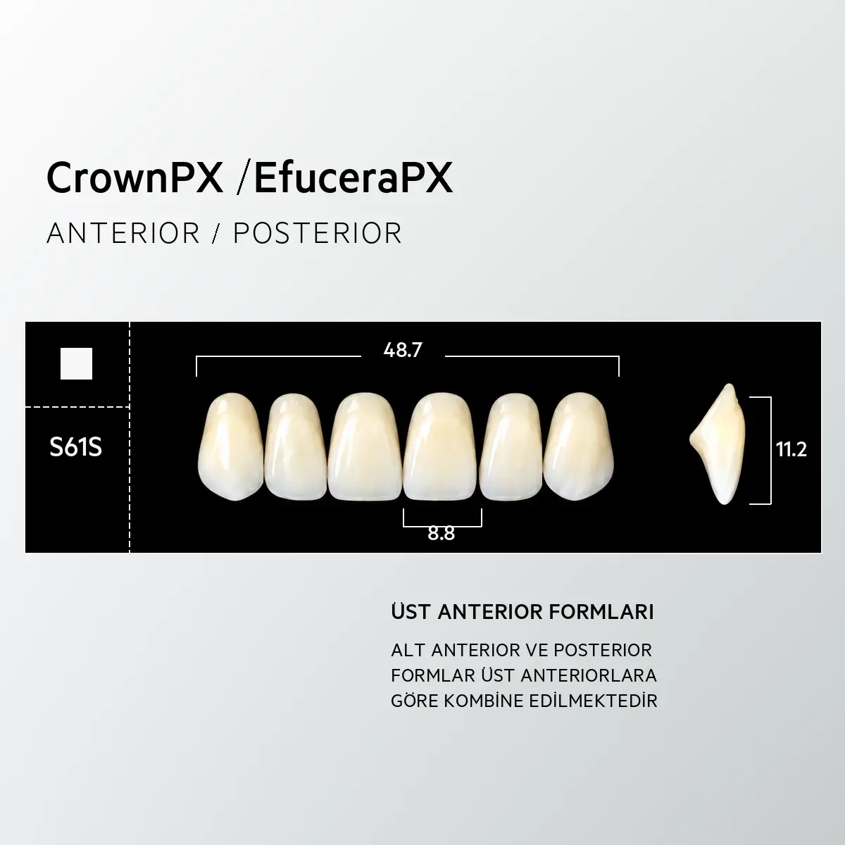 Crown & Efucera PX C1 - S61S