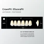 Crown & Efucera PX C1 - S61S