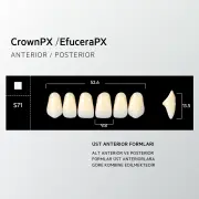 Crown & Efucera PX C3 - S71
