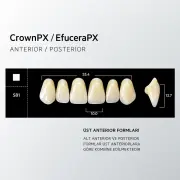 Crown & Efucera PX D3 - S81