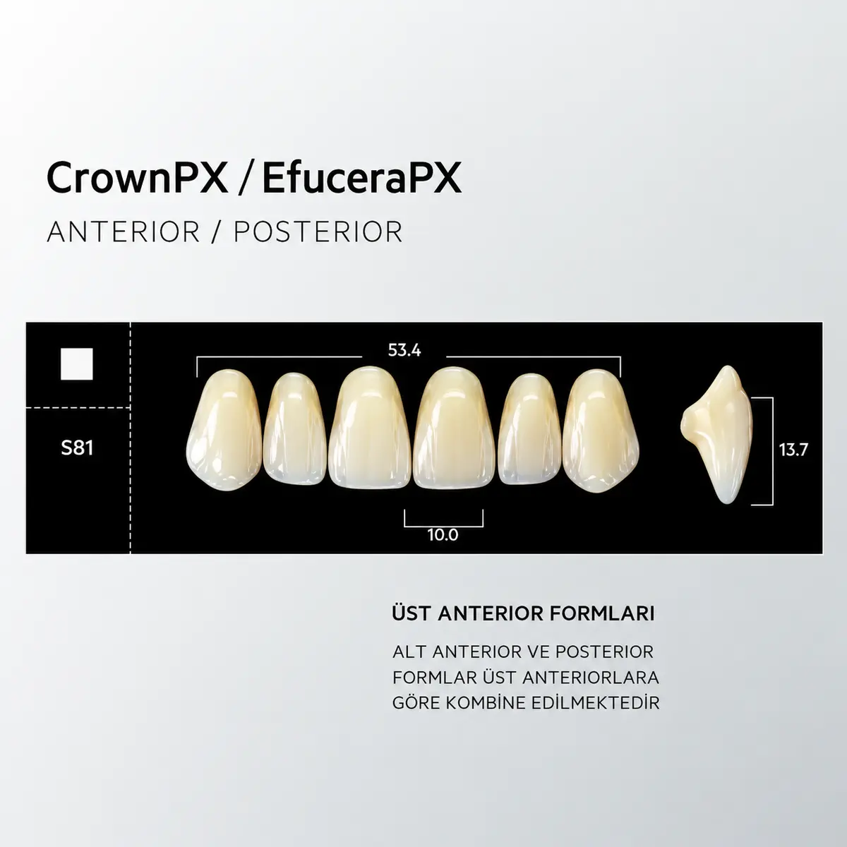Crown & Efucera PX D4 - S81