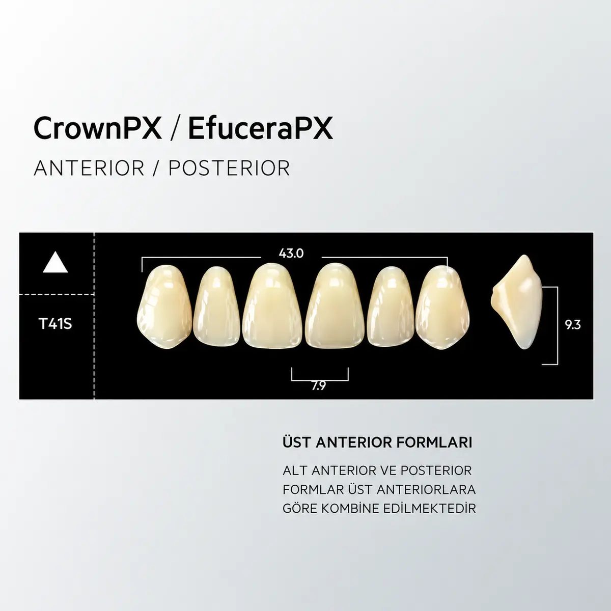 Crown & Efucera PX B1 - T41S