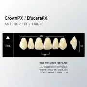 Crown & Efucera PX B1 - T41S