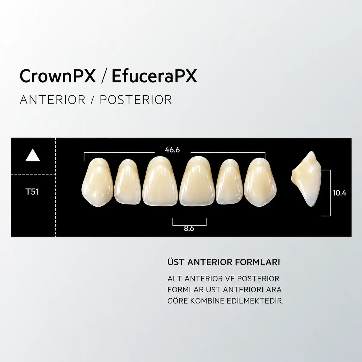 Crown & Efucera PX C4 - T51