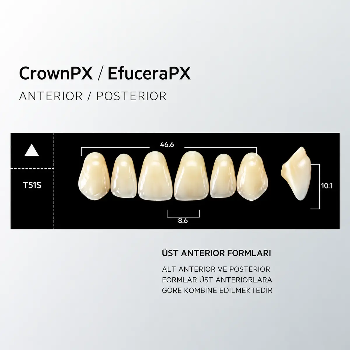 Crown & Efucera PX A1 - T51S