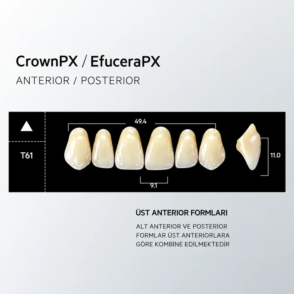 Crown & Efucera PX B2 - T61