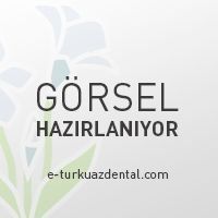 CZR Luster-10 Gr Incisial Aureola