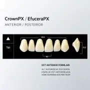 Crown & Efucera PX D4 - T61