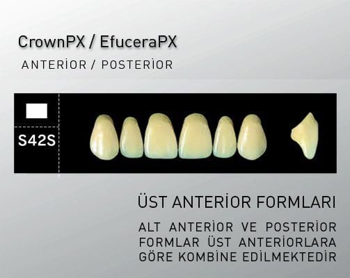 CrownPX - S42S formu D2
