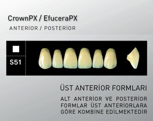 CrownPX - S51 formu D3
