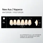 New Ace & Naperce D3 - O4