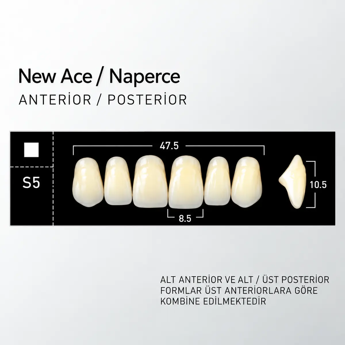 New Ace & Naperce NW0.5 - S5