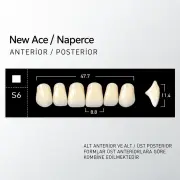 New Ace & Naperce B3 - S6