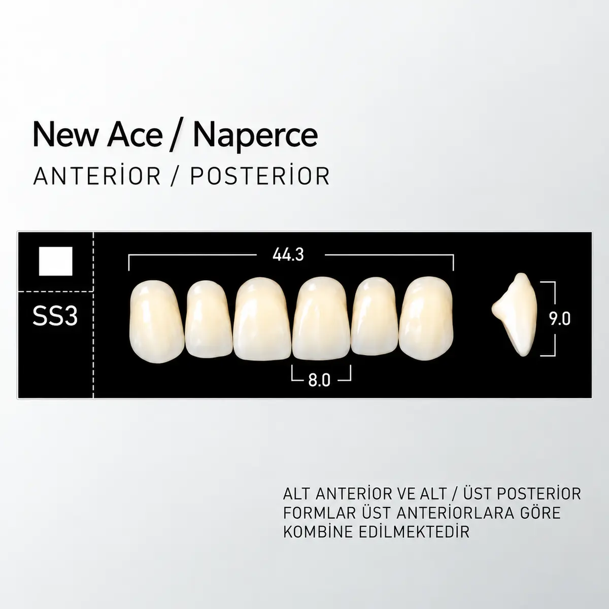 New Ace & Naperce B1 - SS3