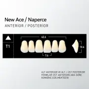 New Ace & Naperce NW0.5 - T1