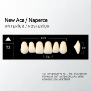 New Ace & Naperce A3.5 - T2