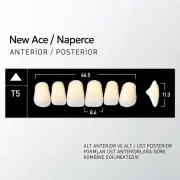 New Ace & Naperce A3 - T5