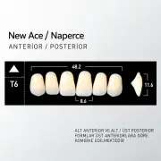 New Ace & Naperce C1 - T6