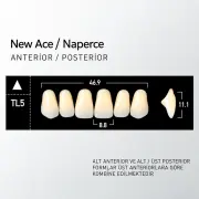 New Ace & Naperce B3 - TL'5