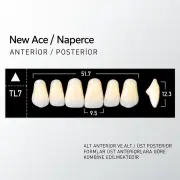 New Ace & Naperce A1 - TL'7