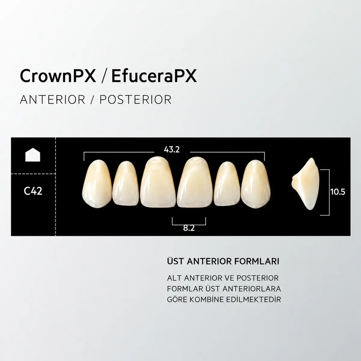 Crown & Efucera PX A1 - C42