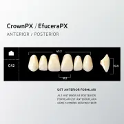 Crown & Efucera PX B1 - C42