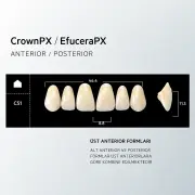 Crown & Efucera PX A1 - C51
