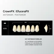 Crown & Efucera PX A4 - O31S