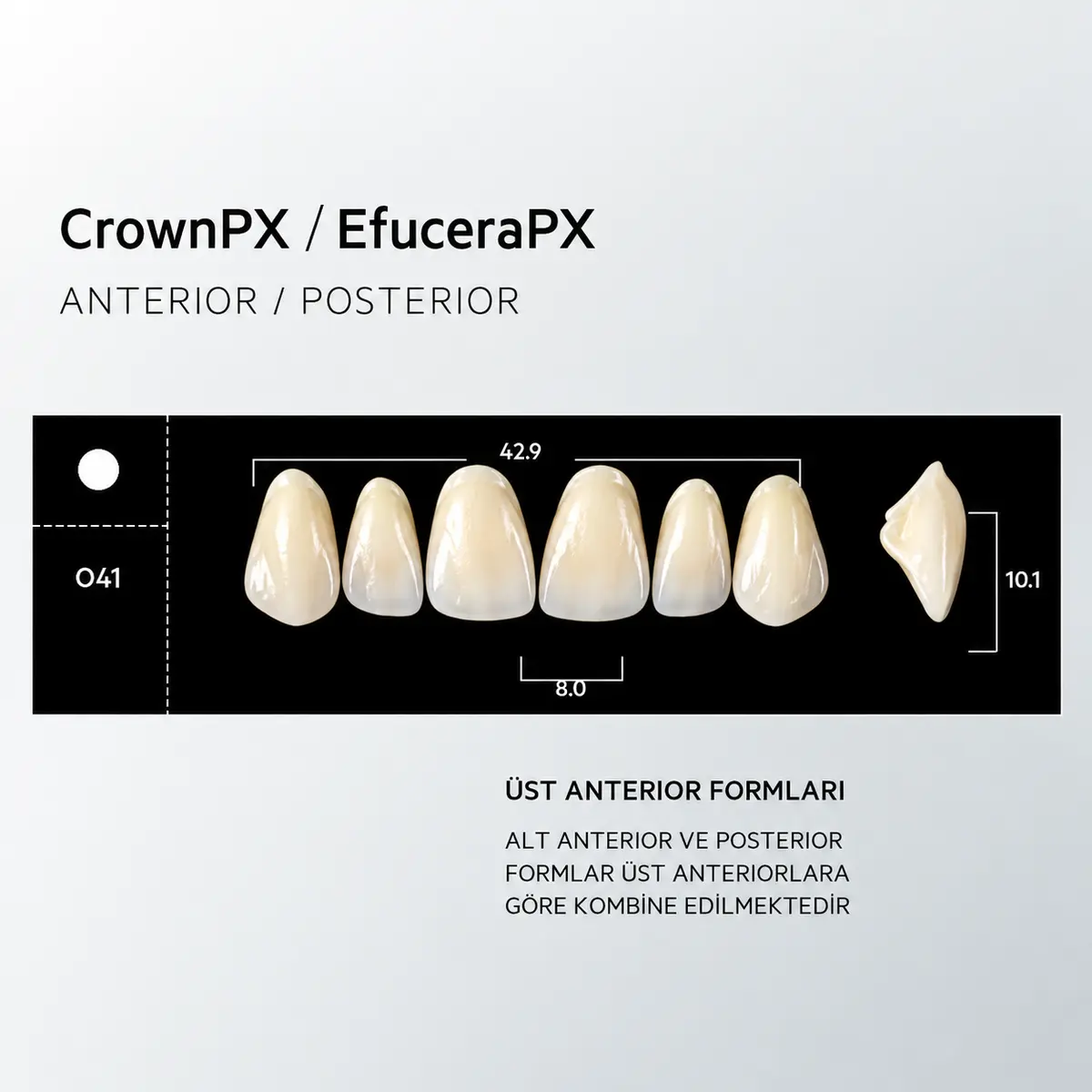 Crown & Efucera PX A3 - O41